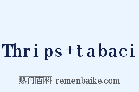 Thrips+tabaci是什么意思的图片